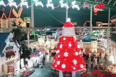 日本と韓国のクリスマスは同じ？違う？